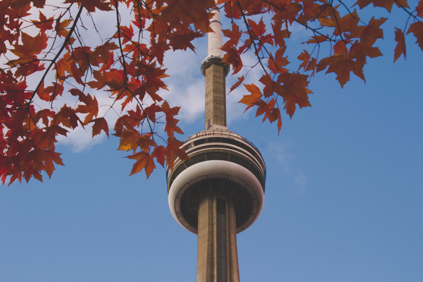 Como tornar seu intercâmbio para o Canadá ainda mais prazeroso!