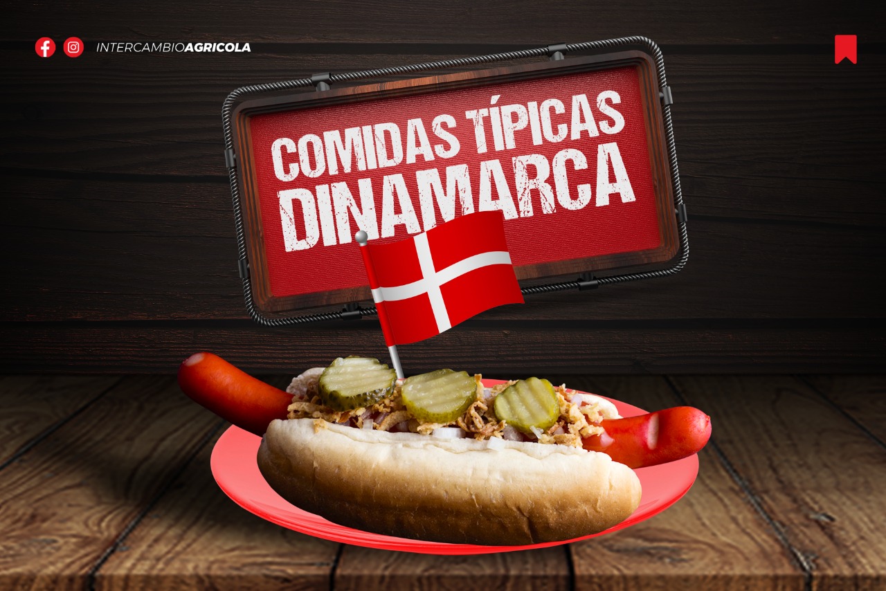 3 receitas típicas da Dinamarca