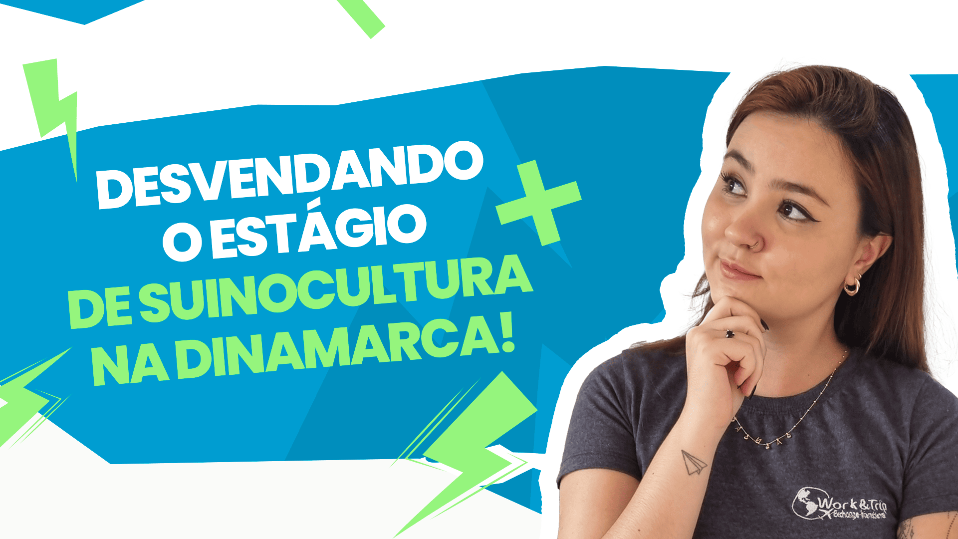 Atividades durante o Estágio de Suinocultura na Dinamarca: O Que Esperar?