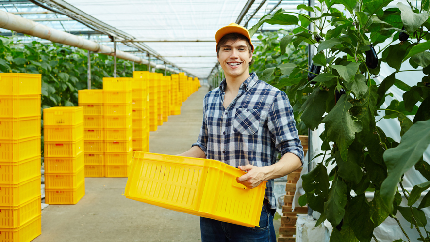 Guia Completo: Intercâmbio Agrícola